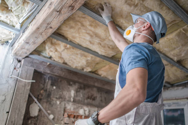 Best Geographic-Specific Insulation Services in Owingsville, KY
